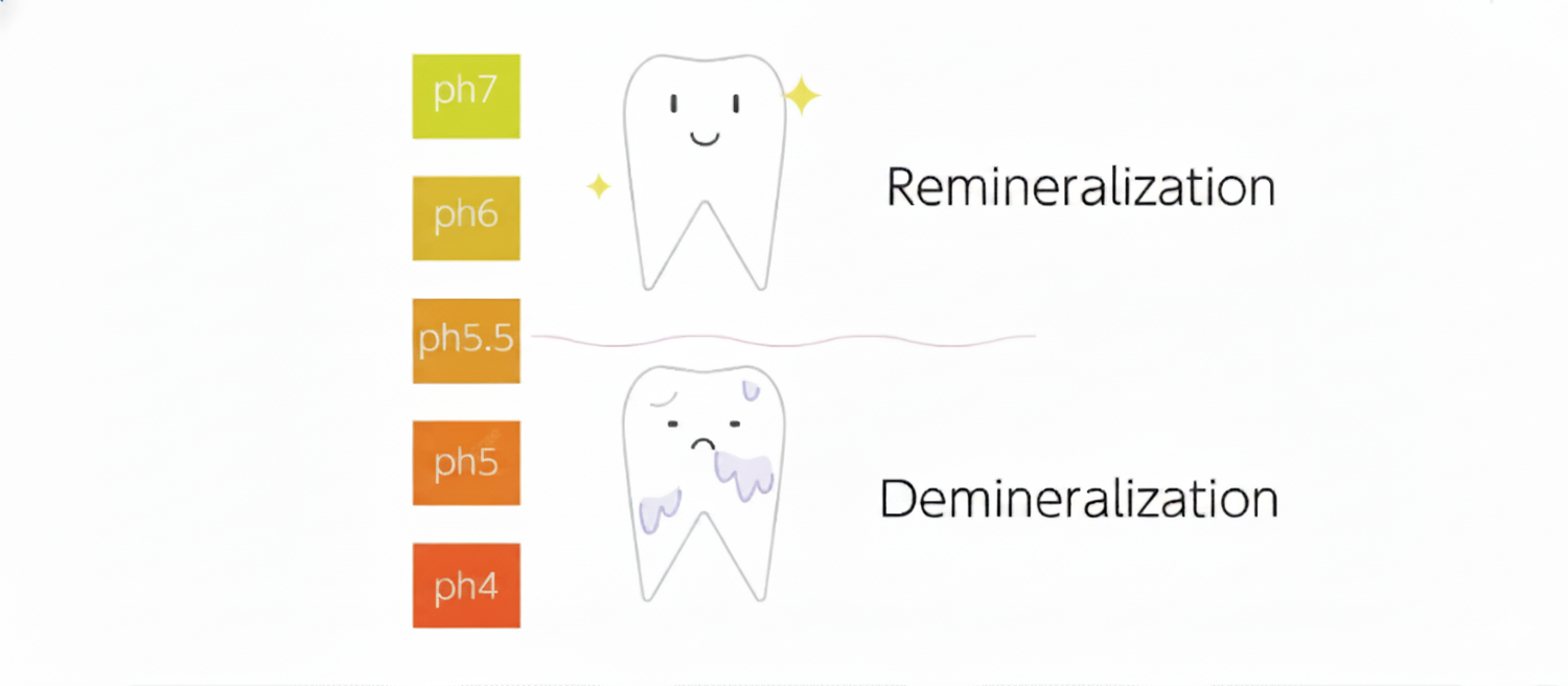 The Complete Guide to Tooth Remineralization: How to Rebuild Your Enamel Naturally